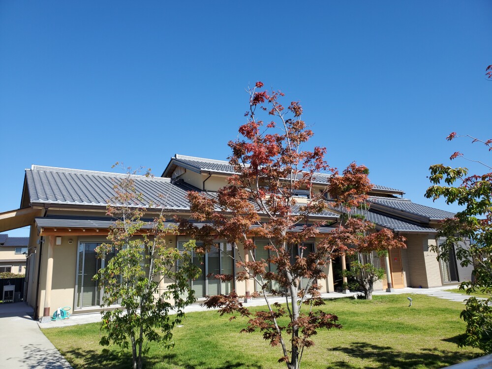 奈良県の和風住宅に広がる芝生の庭と成長した庭木。剪定や草刈り、落ち葉対策など、広い庭を将来も無理なく維持するための植栽管理を考える住宅事例。