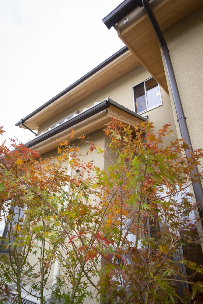 奈良県のやまぐち建築設計室が設計した数寄屋風和モダン住宅の外観ディテール。深い軒と木の軒裏、瓦屋根の重なりが美しい陰影を生み、手前には紅葉（モミジ）の植栽が季節の彩りを添える。建築と庭が調和し、四季の移ろいを楽しめる高級注文住宅の設計事例。和風住宅・和モダン住宅における軒と植栽のデザイン。
