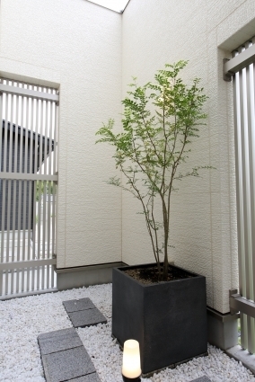 白砂利と飛び石、シンプルな植栽を配したモダンな中庭空間。縦格子により外部からの視線を適度に遮りつつ、光と風を取り込む設計でプライバシーと開放感を両立。シンボルツリーと足元の照明が上質な陰影を生み出し、和モダンやホテルライクな暮らしを求める方に適した中庭のある住まいの一例。